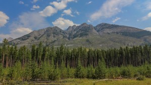 Canadian Rockies 2