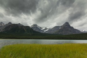 Storm Brewing