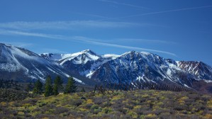 Mammoth Neighborhood