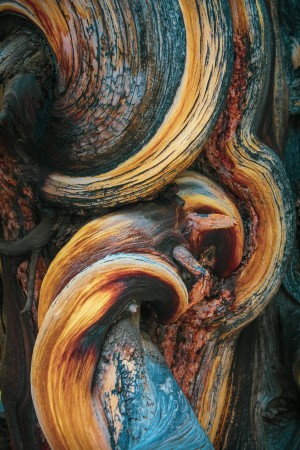 The Big Gnarl