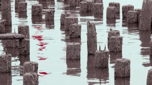 Abandoned Pier Black and White