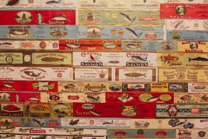 Salmon Salmon Salmon