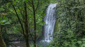 Waterfall off Columbia River