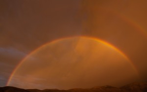 Rainbow