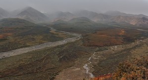 Misty Tundra in Alaska