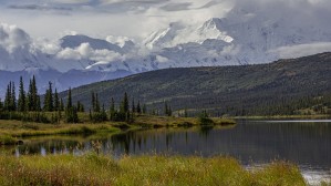 Denali Rising