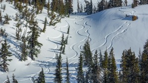 Tahoe Tracks