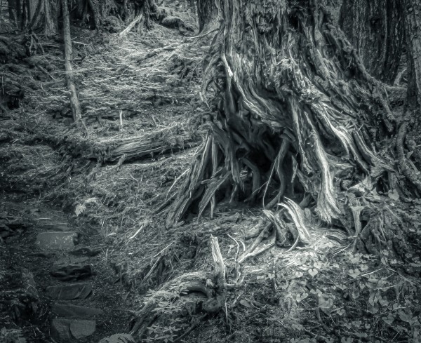 Is there anybody in there B&W by Nicholas