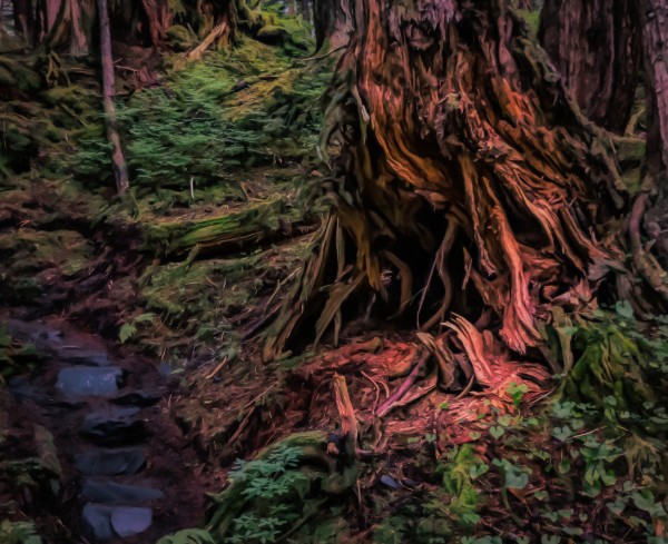 Is there anybody in there Print