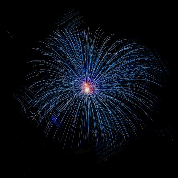 Firework Dream 2 by Nicholas