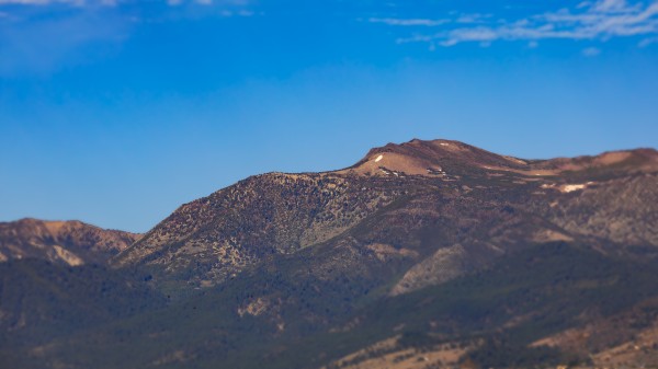 Maiden of Mount Rose by Nicholas