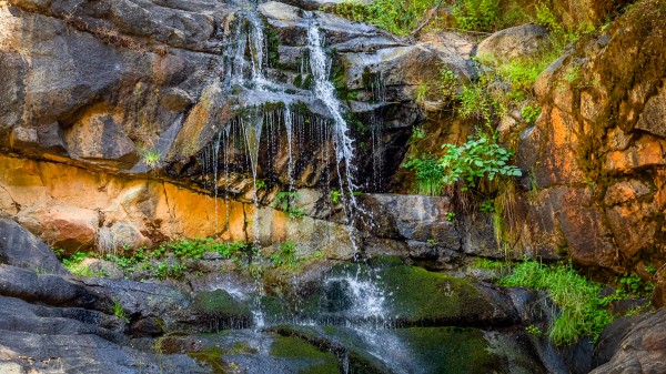 North Yuba River Tributary Closeup by Nicholas