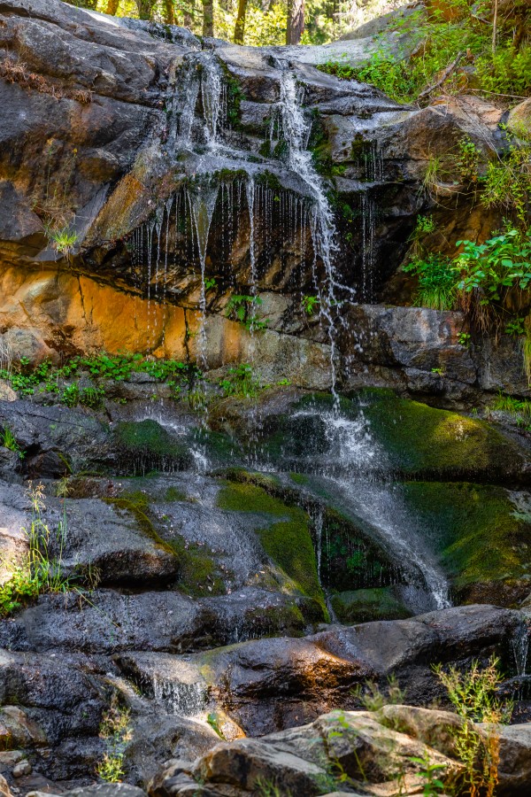 North Yuba River Tributary by Nicholas