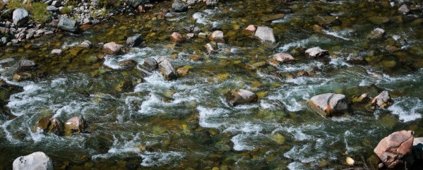 North Yuba River by Nicholas