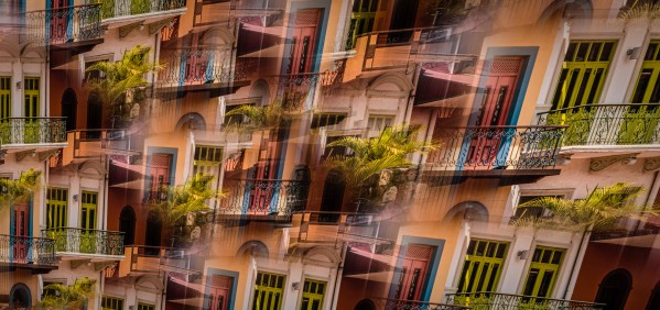 Panama Dream by Nicholas