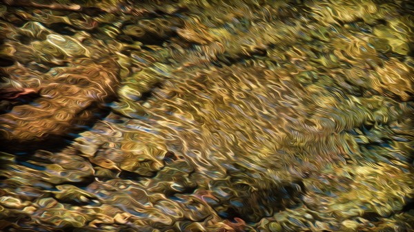 Liquidity by Nicholas