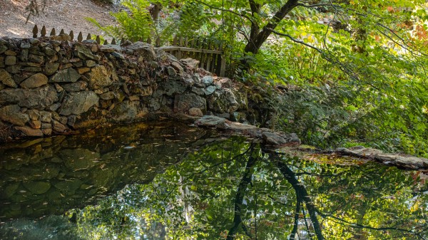 Boeger Pond by Nicholas