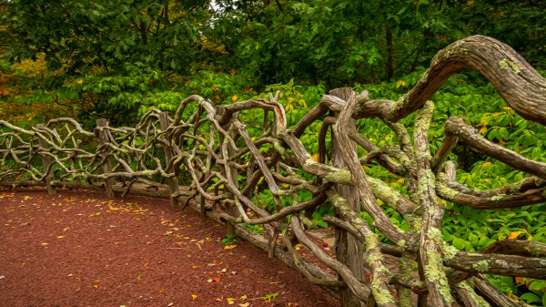 Fence in Oil by Nicholas