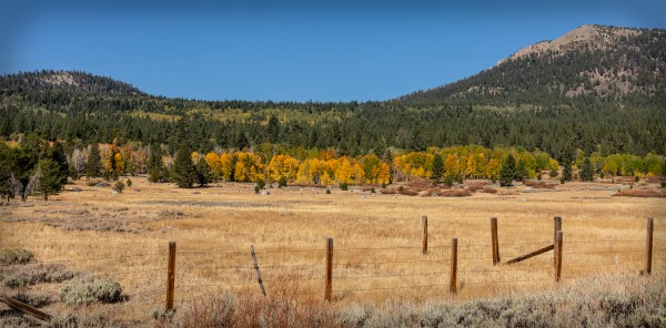 Hope Valley Fence Line by Nicholas