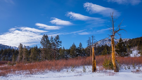 Interesting Clouds Print