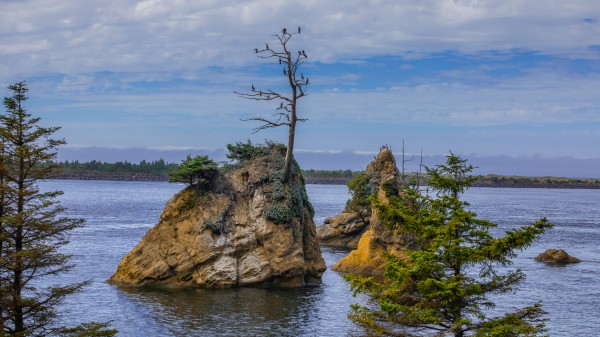 Oregon Coast 1  Print