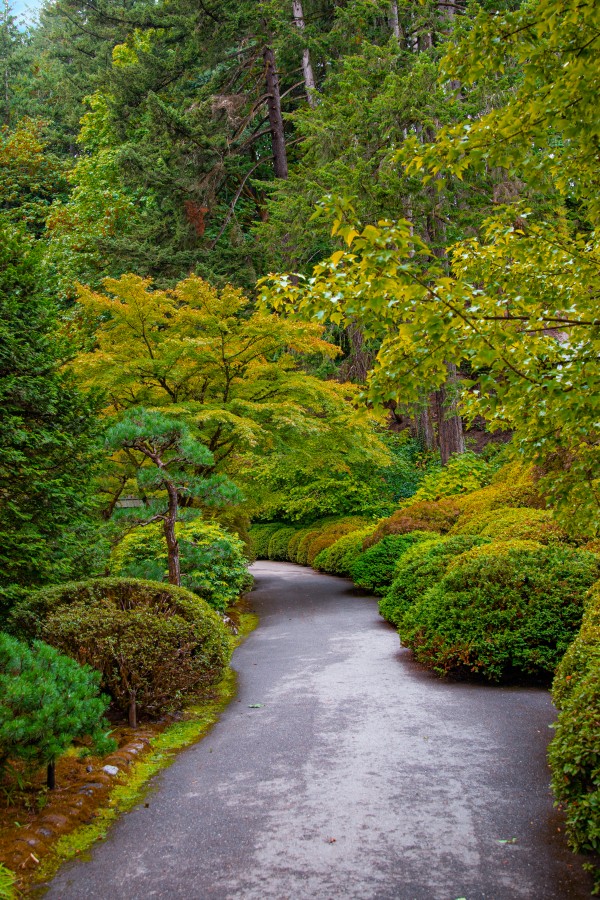 Japanese Garden Portland 2  Print