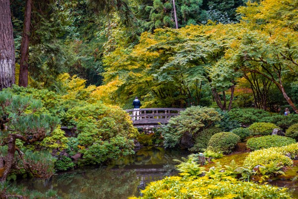 Japanese Garden Portland 6  Print
