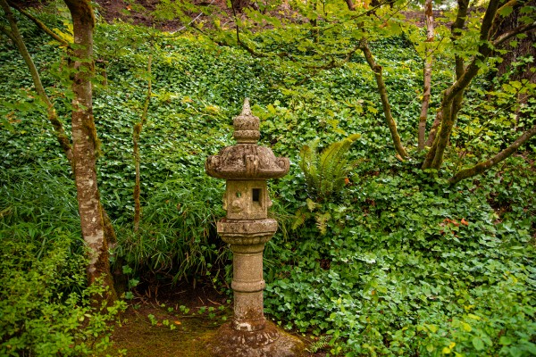 Japanese Garden Portland 10  Print