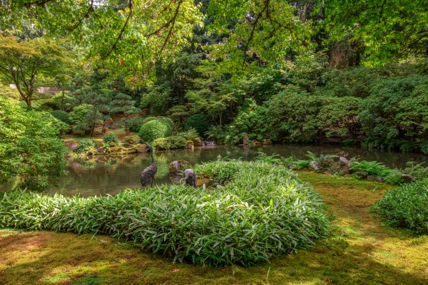 Japanese Garden Portland 9  Print