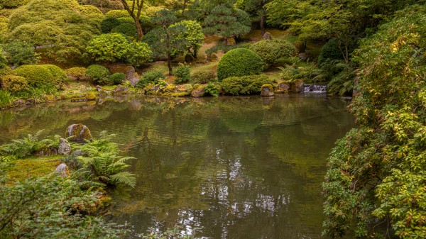 Japanese Garden Portland 5  Print