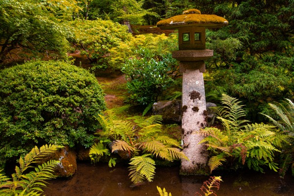 Japanese Garden Portland 3  Print