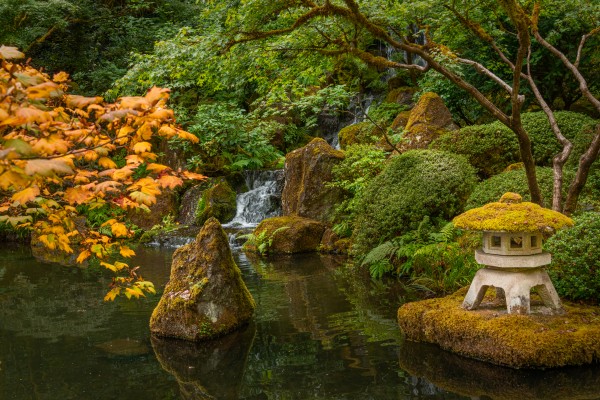 Japanese Garden Portland 4  Print