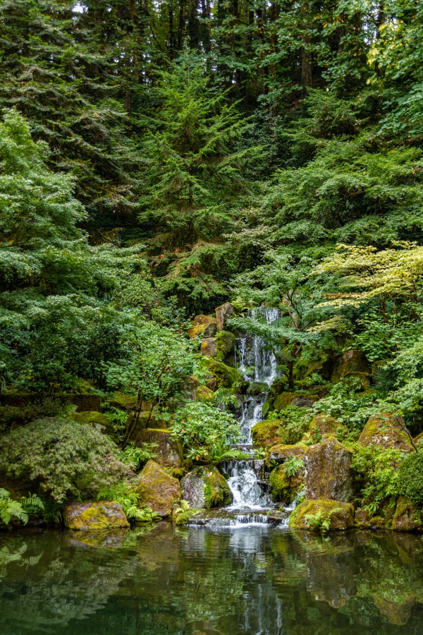 Japanese Garden Portland 13  Print