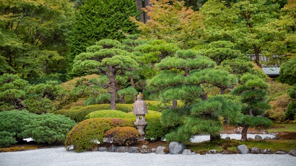 Japanese Garden Portland 12  Print