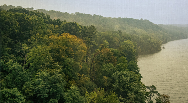Fog On The Hudson River by Nicholas