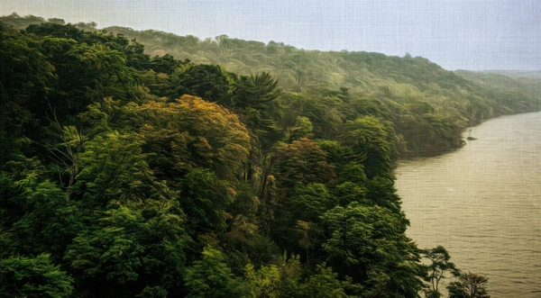 Fog On The Hudson River Modified by Nicholas