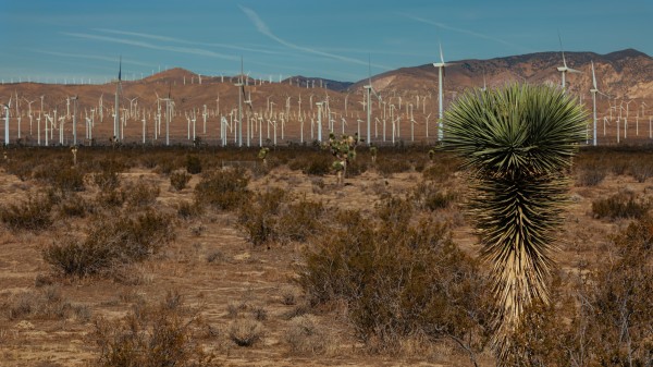 Windmill Farm 2 by Nicholas