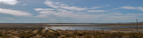 Solar Panel Panorama by Nicholas