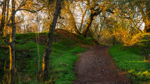 Walking to The Pot of Gold by Nicholas