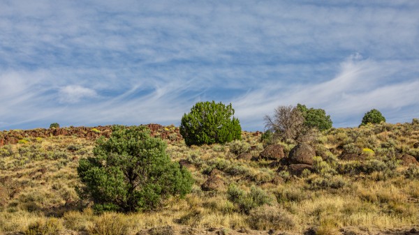 Middle of nowhere Nevada by Nicholas
