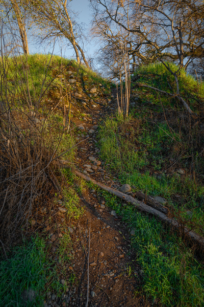 Over The Top by Nicholas