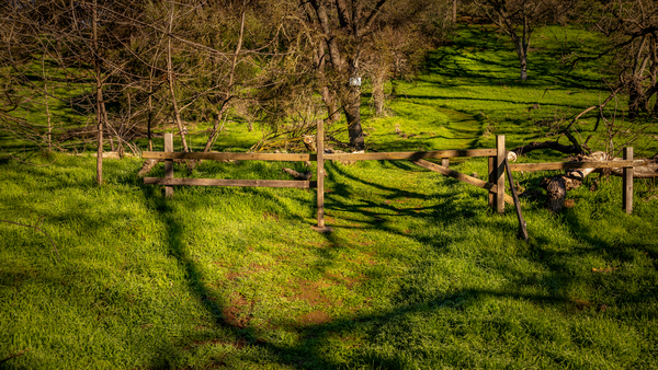 Trail off the Trail by Nicholas
