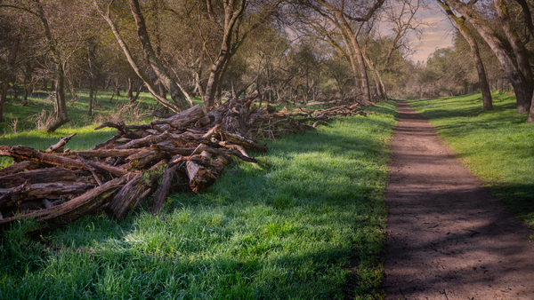 Maintained Trail by Nicholas