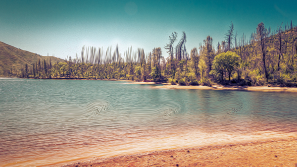 Too Much Whiskey Print