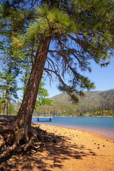 The Beach Leaner by Nicholas