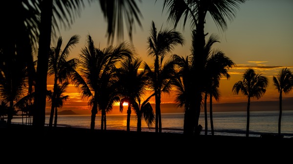 Cabo Sunrise by Nicholas