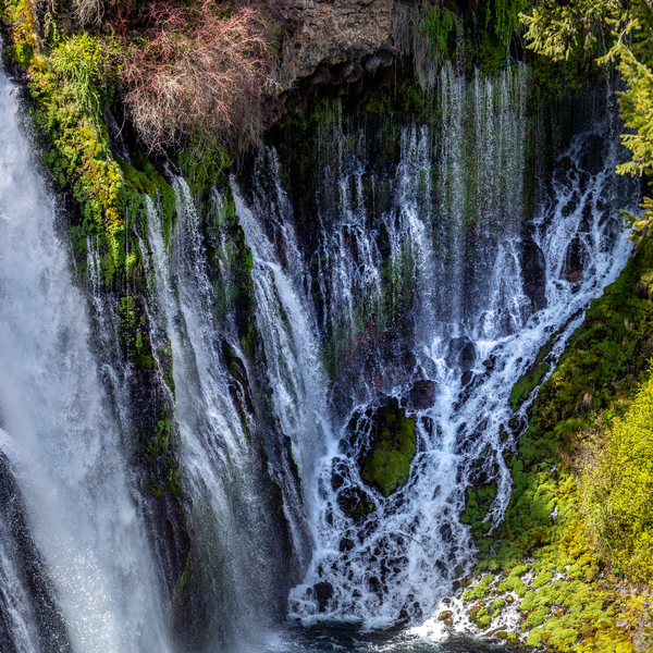 Burney Falls Side Shower by Nicholas