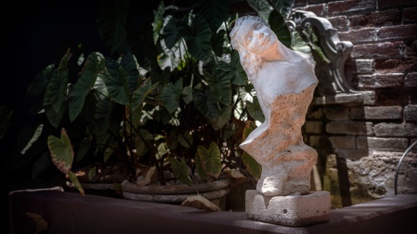 Bust at the Hotel California by Nicholas