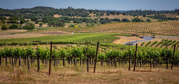Plymouth Hills from Helwig by Nicholas