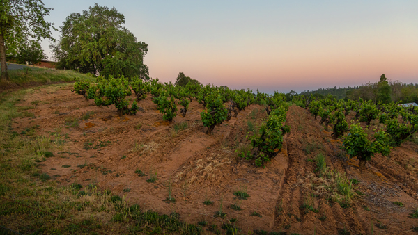 Iron Hub by The Gate by Nicholas